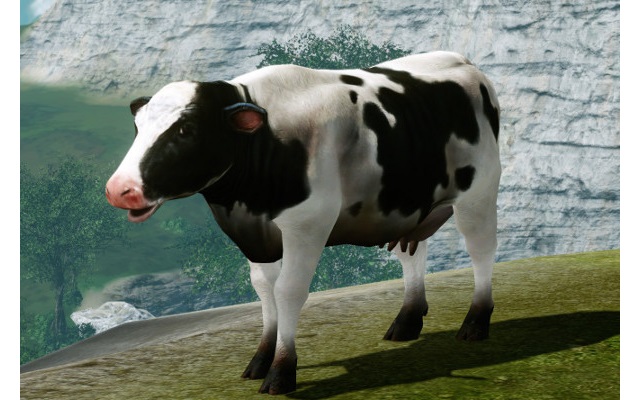 где взять ездовую корову
